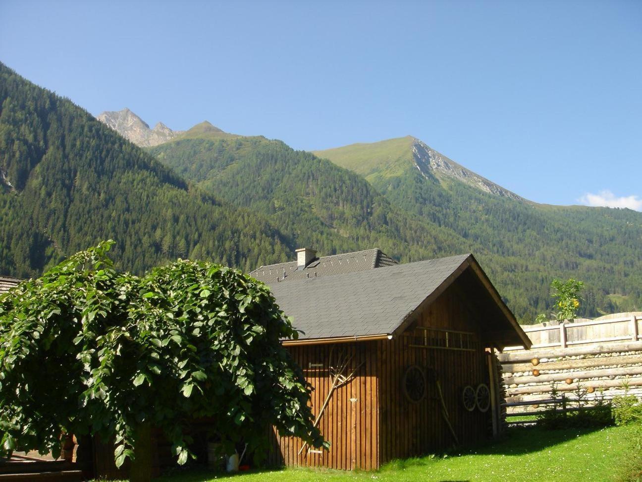 Gaestehaus Marianne Baier Zederhaus Exterior photo
